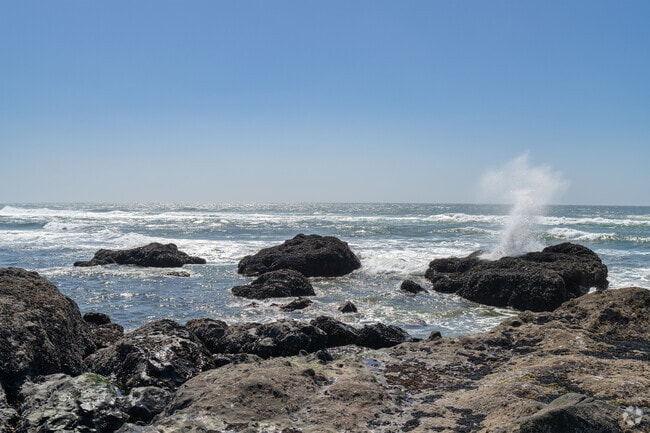 Watch the waves crash on the basalt rock at Yachats State Park and Recreation Site.