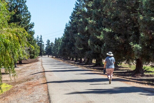 Take a walk along the Lower Stanislaus River Multi-Use Trail in Ripon.
