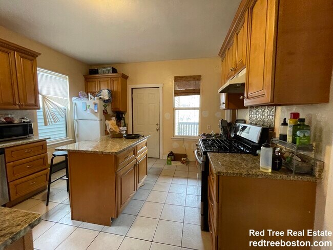 6 Eldora St unit 3, Roxbury Crossing, MA 02120 - photo 3