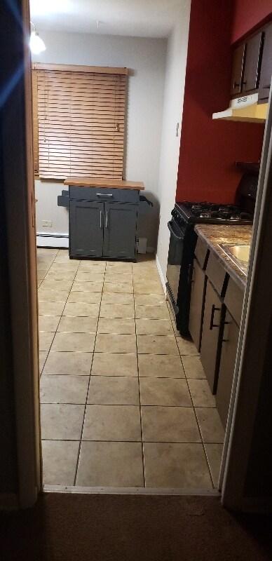 4327 Lindenwood Dr unit 2W, Matteson, IL 60443 - photo 7