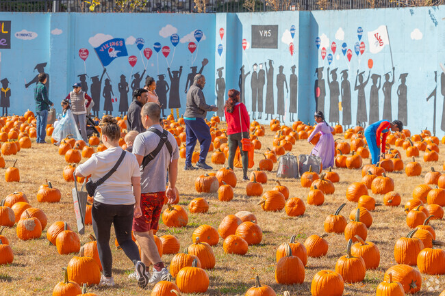 Kids can take home 1 pumpkin each at the Voorhees Township Halloween & Fall Festival.