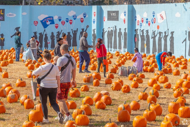 Pick a pumpkin at the Voorhees Township Halloween & Fall Festival.