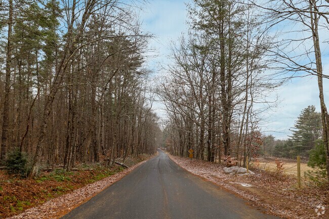 Forested lots bordered by nature preserves make great locations for new homes in Day.