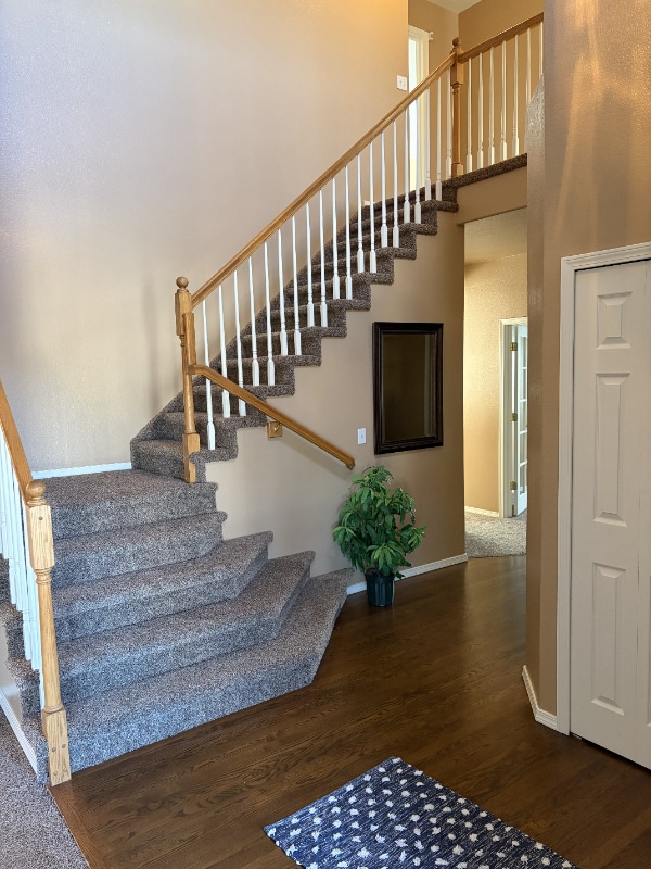 1628 Lily Lake Dr, Colorado Springs, CO 80921 - photo 3