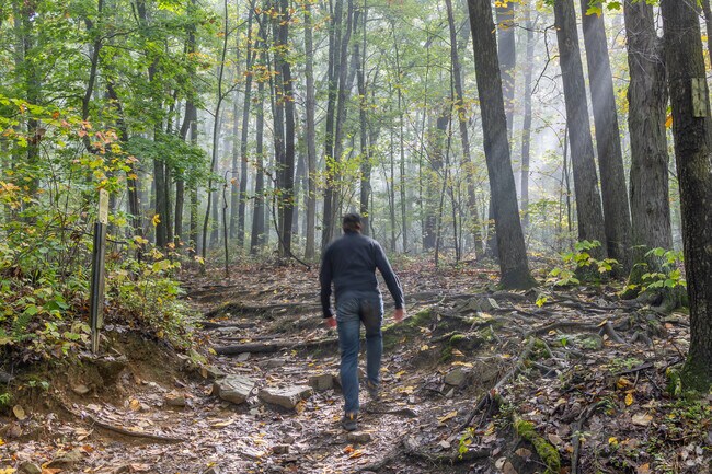 Mount Nittany Trailhead is a popular spot for College Township locals to hike.