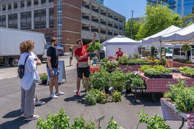 Visitors can shop for plants at the Downtown Farmers Market in Downtown Evanston.