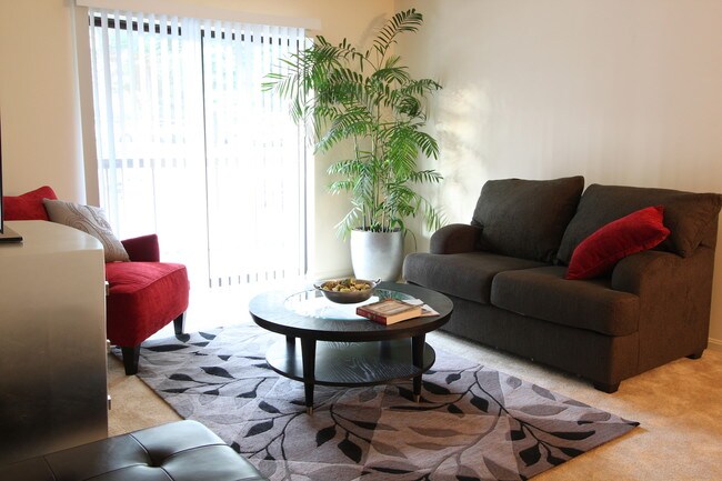 Bartton Place, Arlington, VA 22204 - photo 7