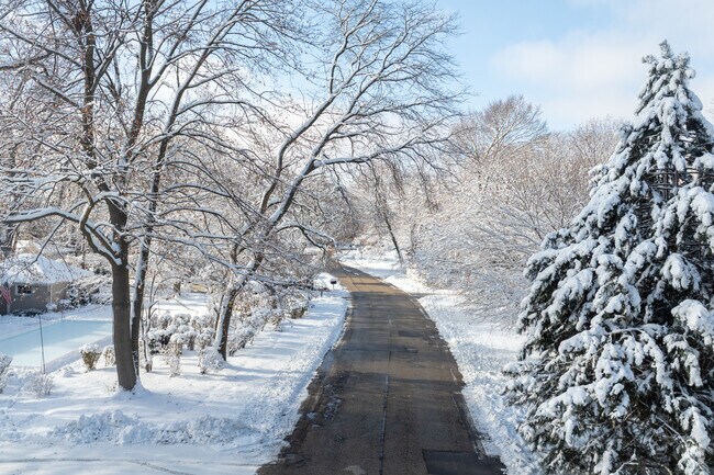 Snowy streets in Green Tree offer a peaceful seasonal backdrop for residents.