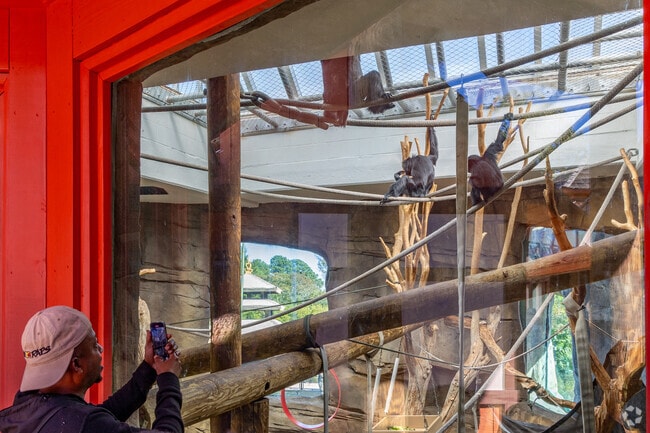 Virginia Zoo has a variety of animals to admire for residents of Hunter's Square.