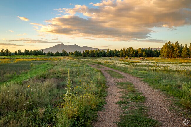 Immerse yourself in tranquility on the walking trails of Kachina Wetlands Preserve.