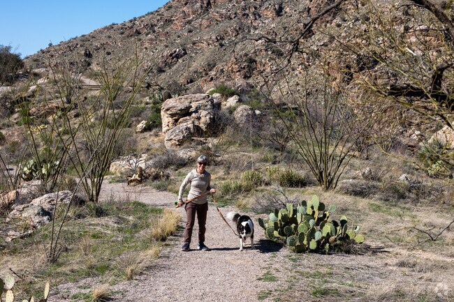 Bear Canyon is close to numerous hiking trails in the Catalina Mountains.
