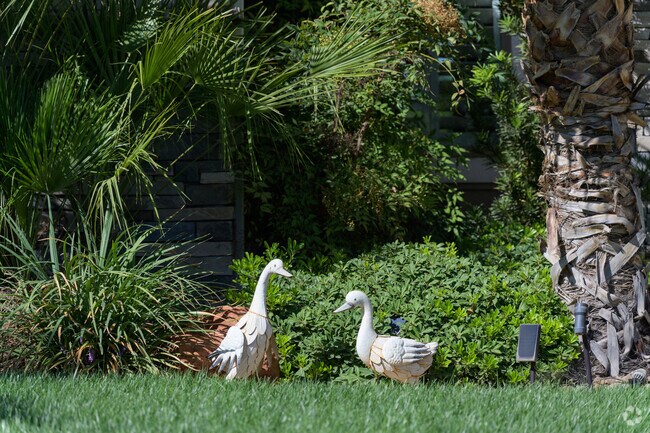 Dixie Springs is a safe and tranquil neighborhood.