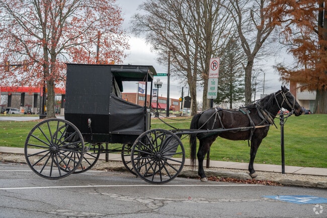 Horses and buggies are common forms of transportation in Mercer.