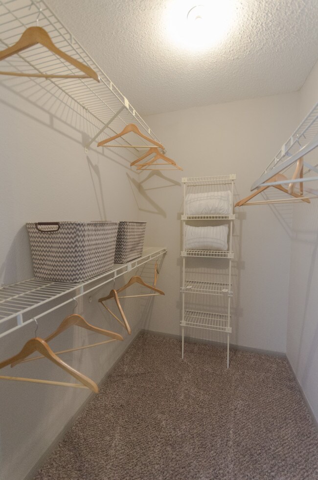 KB Willows, Knoxville, TN 37909 - photo 4