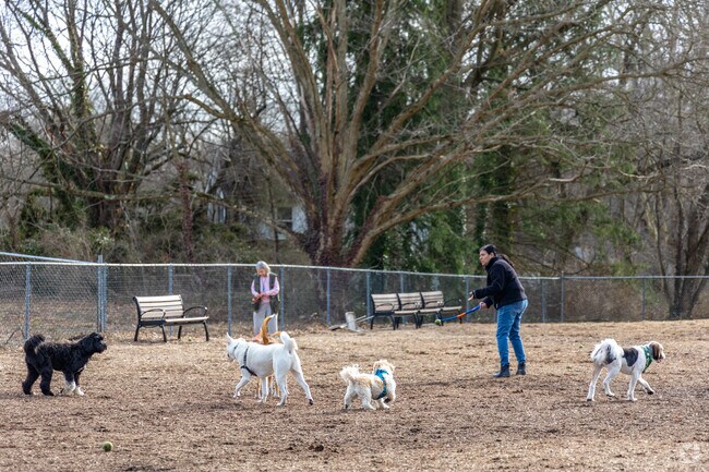 Every Carrcroft dog can have its day at nearby Talley Day Park.