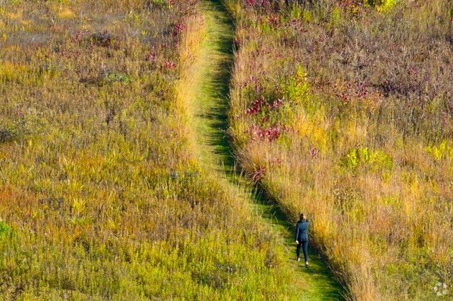 Long strolls in nature are a great way to unwind in Novak Park after a long workday.