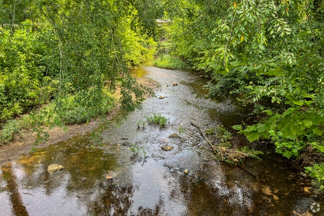 Cool off in the Cahaba River in Downtown Trussville..
