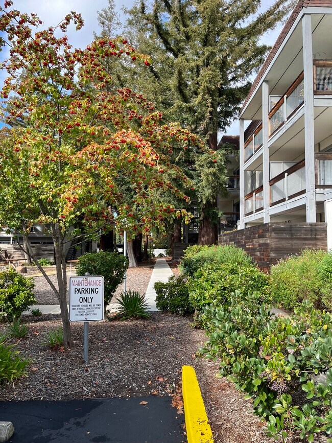 4081 Clayton Rd, Concord, CA 94521 - photo 4