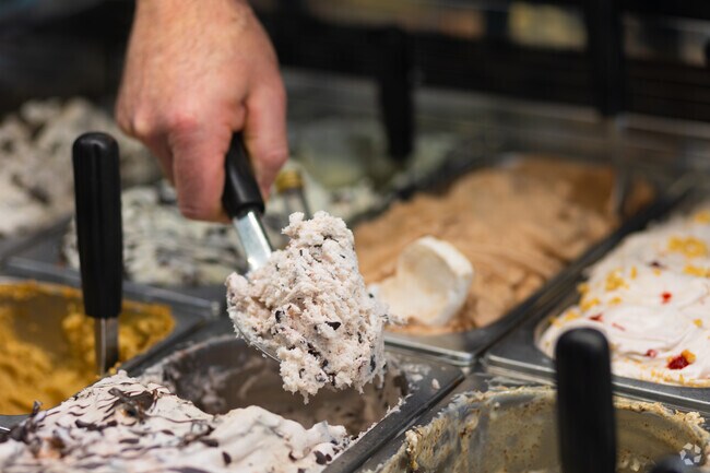 Deluca Gelato near Raintree has over 50 flavors of gelato including 20 dairy free types.