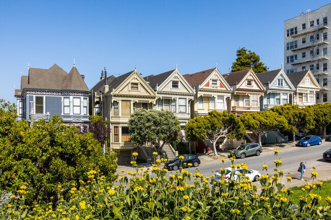 The famous "Painted Ladies" sit just across the street from Alamo Square.