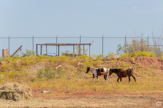 Lawton View residents with big yards enjoy raising horses on their property.