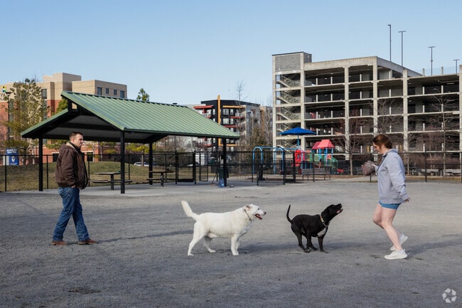 McNair residents can take their furry friends to Dulles Station Community Park for an afternoon of fun.