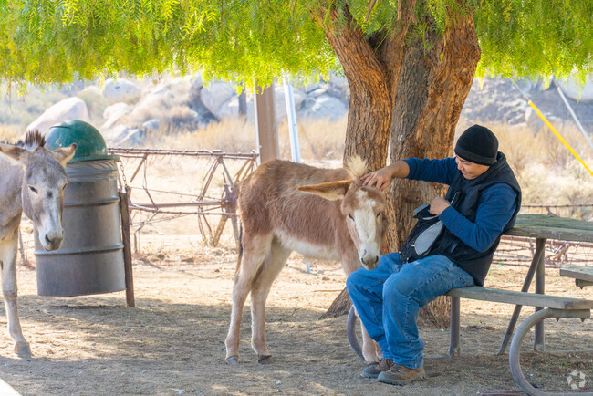 Hendrick Ranch residents may spot wild burros roaming areas of Moreno Valley, adding a touch of nature's charm to the landscape.