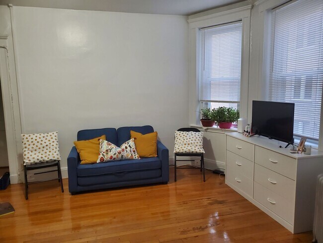 41 Saint Stephen St unit 2, Boston, MA 02115 - photo 6