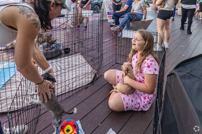 Fall in love with adorable puppies at the Promenade At Coconut Creek Yappy Hour near Palm Beach Farms, FL.