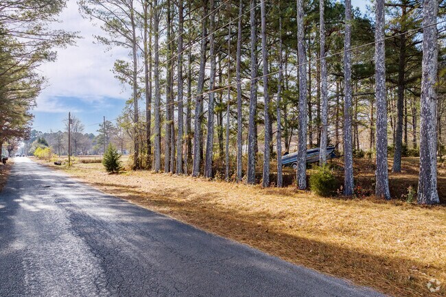 The roads of Cartwright are lined with beautiful pine trees.