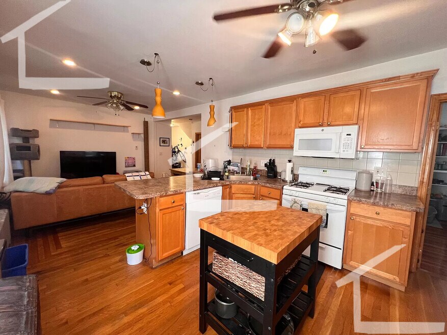 3 Aldie St unit 1, Allston, MA 02134 - photo 1