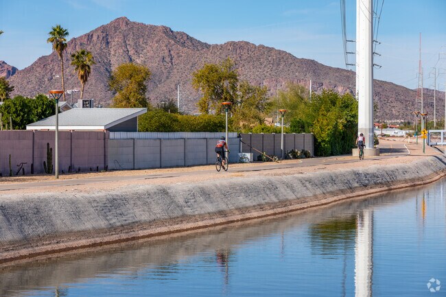 Experience the thrill of biking through South Scottsdale's landscapes.