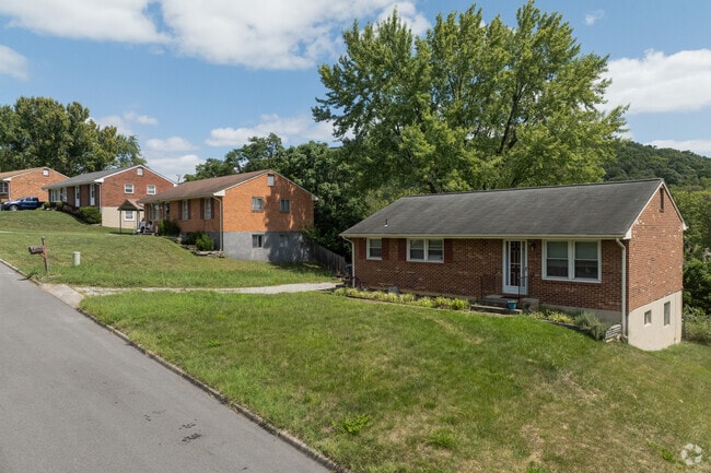 Many homes have single-story designs, perfect for easy living.