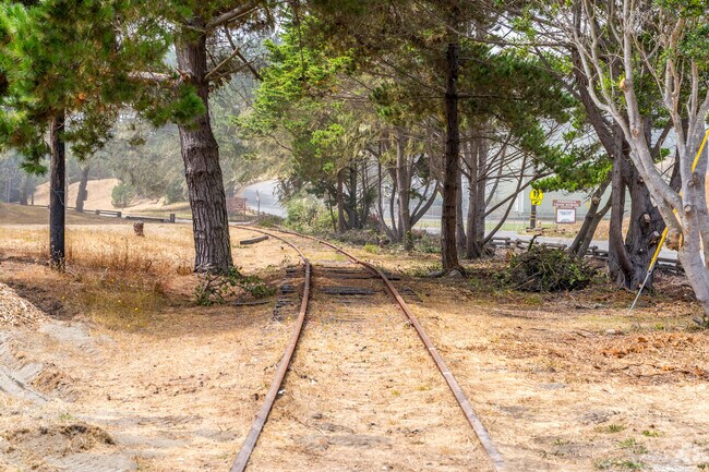Lush trees provide shade throughout Samoa.