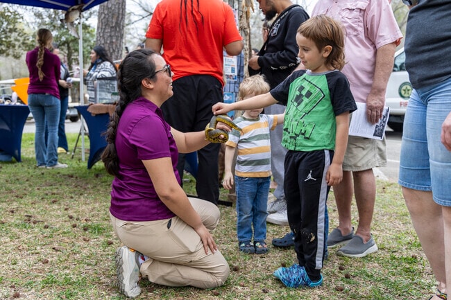 A young boy pets a snake at Nature Fest.