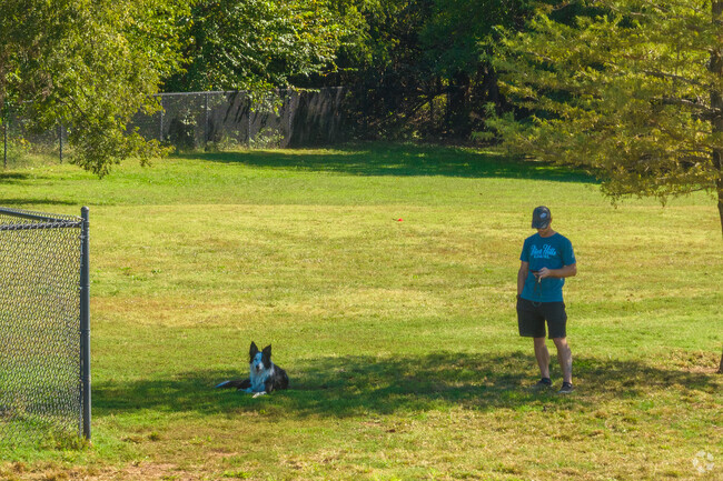 Dogs and their owners enjoy the shake on a hot day near Stonebridge.