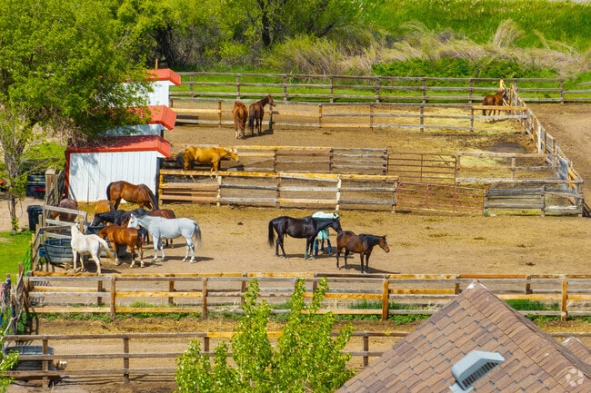 Horseback riding is common sport at the Ken Caryl Equestrian Center.