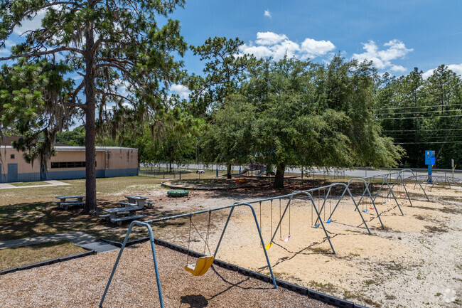 Kids swing recess away at Lake Forest Elementary School.