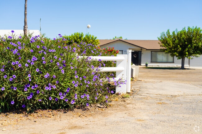 Desert flowers add color to San Joaquin’s Spanish-style front yards.