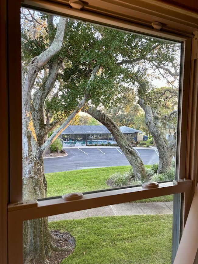 2193 Masters Ct unit 2 bedroom 2 full bat, Dunedin, FL 34698 - photo 1