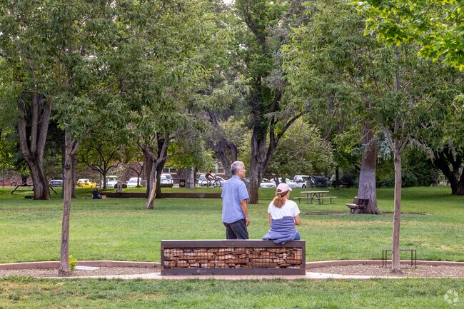 Flagstaff locals bring their dogs to Wheeler Park for some fetch.