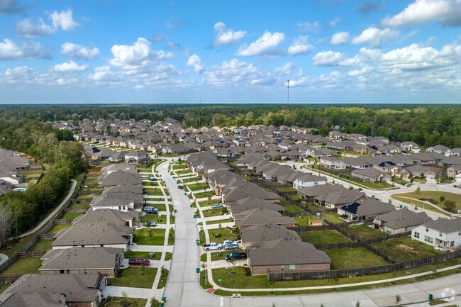 Roman Forest residents who love nature can enjoy living near a heavily forested area.