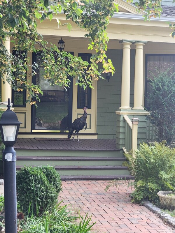 9 Woodland Ave, Medford, MA 02155
