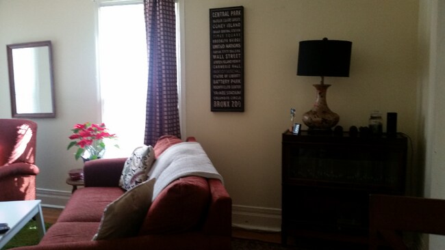 288 E 1st St unit TOP-Furnished, Corning, NY 14830 - photo 4