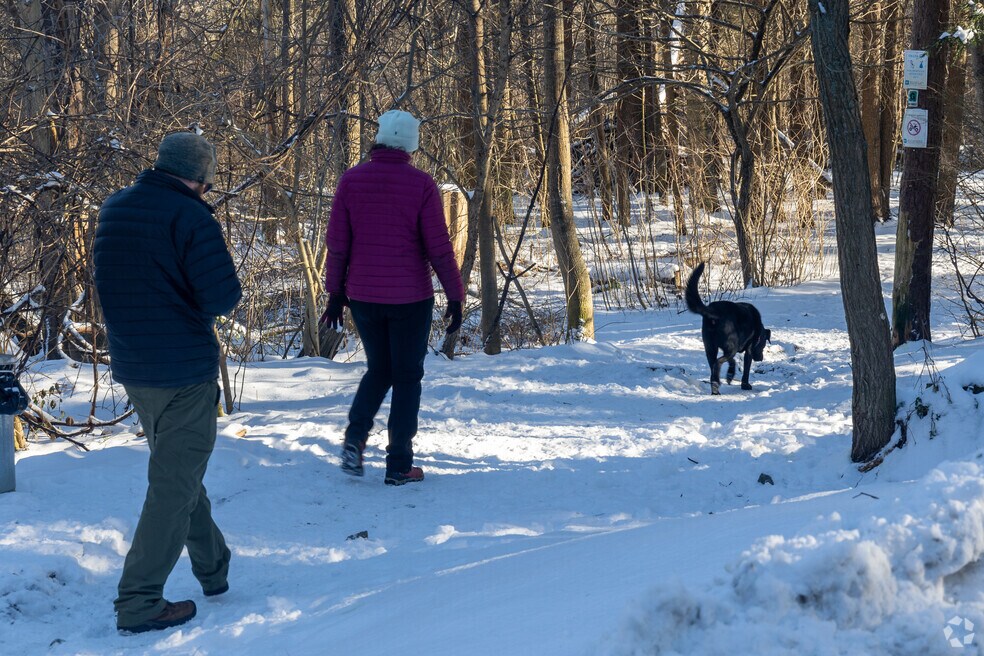 NH_Highland_536536_P2_BR_v01_032525