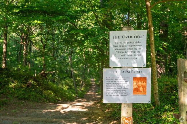 Potomac Overlook Park is a peaceful, and relaxing, place for Chain Bridge Forest locals.