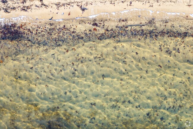 There are great small beaches around the Severna Park area.