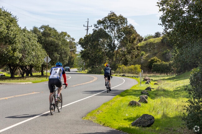 Newark's got some beautiful bicycle trails that follow the coast of the bay.