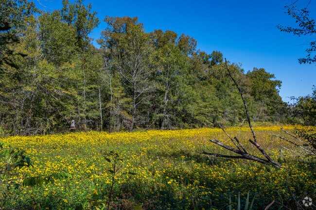 Russell Sage Wildlife Management Area is subject to winter and spring flooding annually.