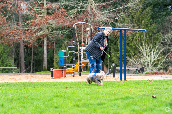 Residents of the Churchill Neighborhood play with their furry friends in Skyview City Park.